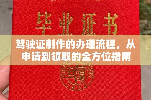 麻栗坡驾驶证制作的办理流程，从申请到领取的全方位指南