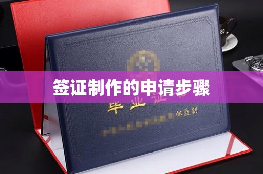 麻栗坡签证制作的申请步骤