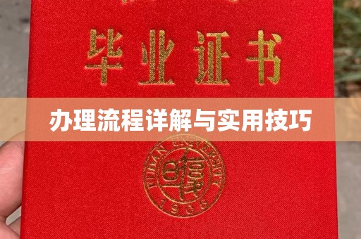 麻栗坡办理流程详解与实用技巧