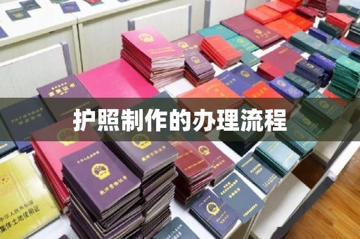 麻栗坡护照制作的办理流程