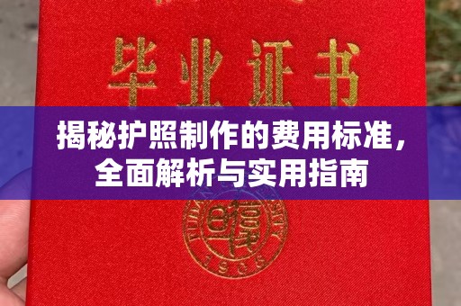 麻栗坡揭秘护照制作的费用标准，全面解析与实用指南