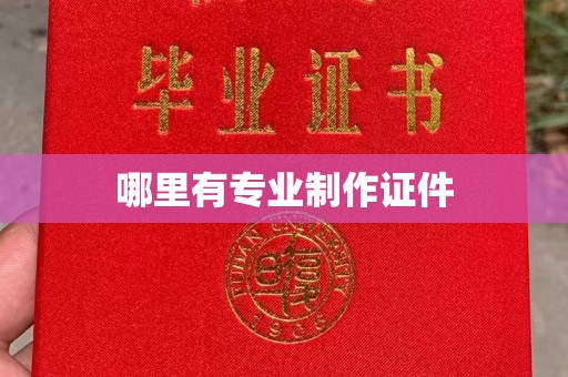 麻栗坡哪里有专业制作证件