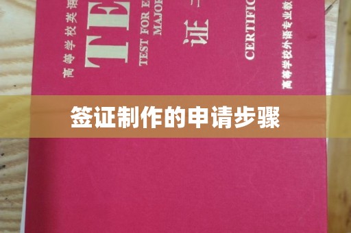 麻栗坡签证制作的申请步骤