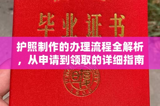 麻栗坡护照制作的办理流程全解析，从申请到领取的详细指南