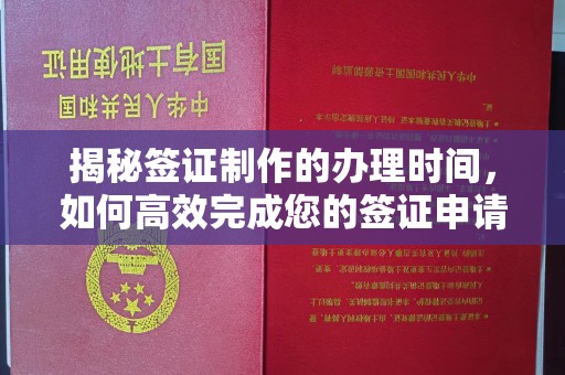 麻栗坡揭秘签证制作的办理时间，如何高效完成您的签证申请