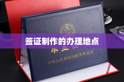 麻栗坡签证制作的办理地点