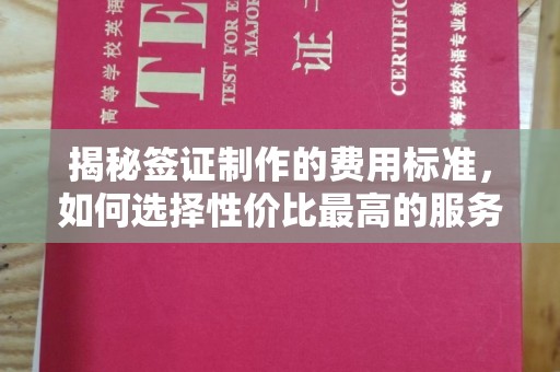 麻栗坡揭秘签证制作的费用标准，如何选择性价比最高的服务？
