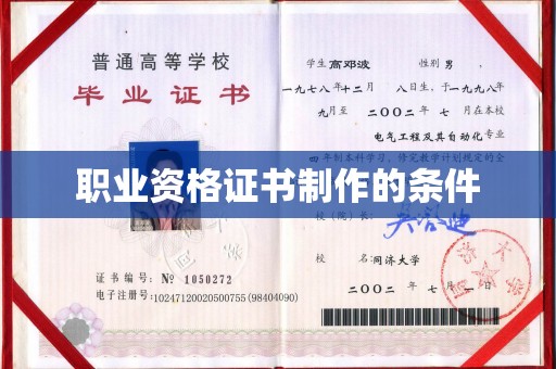 麻栗坡职业资格证书制作的条件