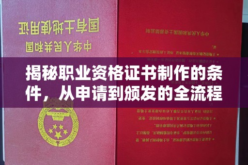 麻栗坡揭秘职业资格证书制作的条件，从申请到颁发的全流程解析