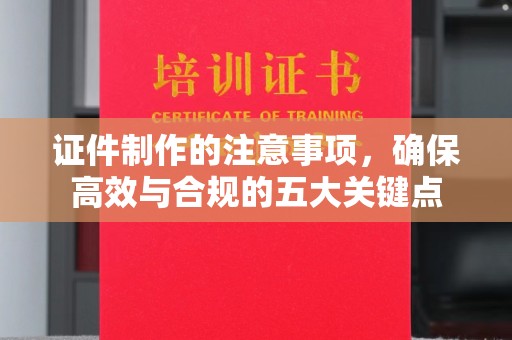 麻栗坡证件制作的注意事项，确保高效与合规的五大关键点