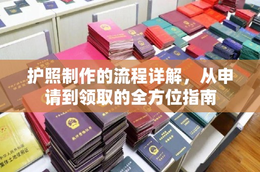 麻栗坡护照制作的流程详解，从申请到领取的全方位指南
