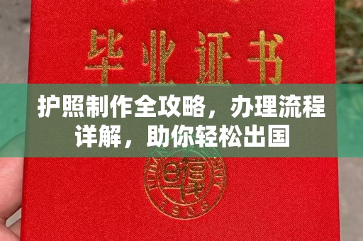 麻栗坡护照制作全攻略，办理流程详解，助你轻松出国