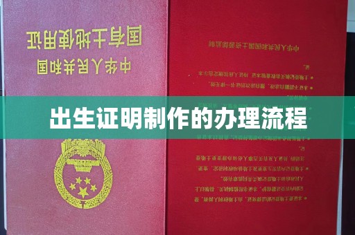 麻栗坡出生证明制作的办理流程
