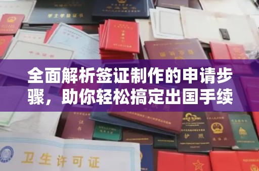 麻栗坡全面解析签证制作的申请步骤，助你轻松搞定出国手续