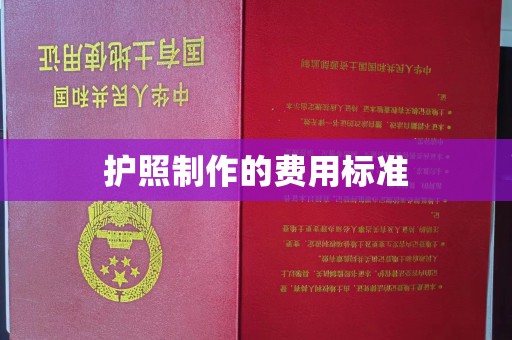 麻栗坡护照制作的费用标准
