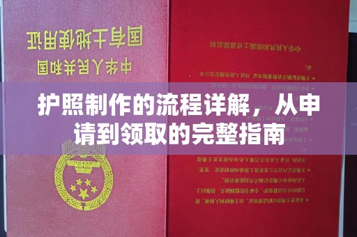麻栗坡护照制作的流程详解，从申请到领取的完整指南