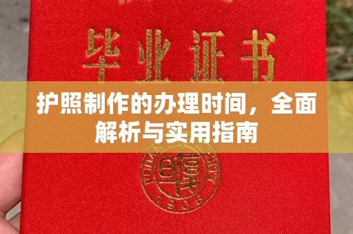 麻栗坡护照制作的办理时间，全面解析与实用指南