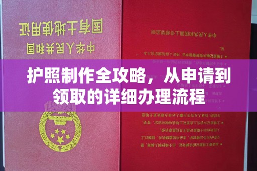 麻栗坡护照制作全攻略，从申请到领取的详细办理流程